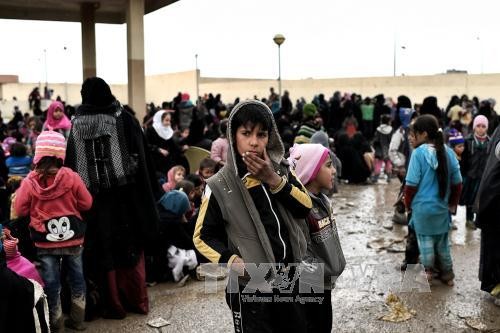UNO warnt vor Nutzung von Chemiewaffen in Mosul - ảnh 1